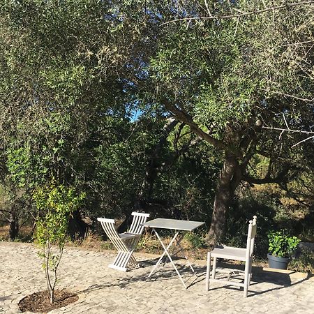 Casa Da Ti Carolina Βίλα Καρβοέιρο Εξωτερικό φωτογραφία