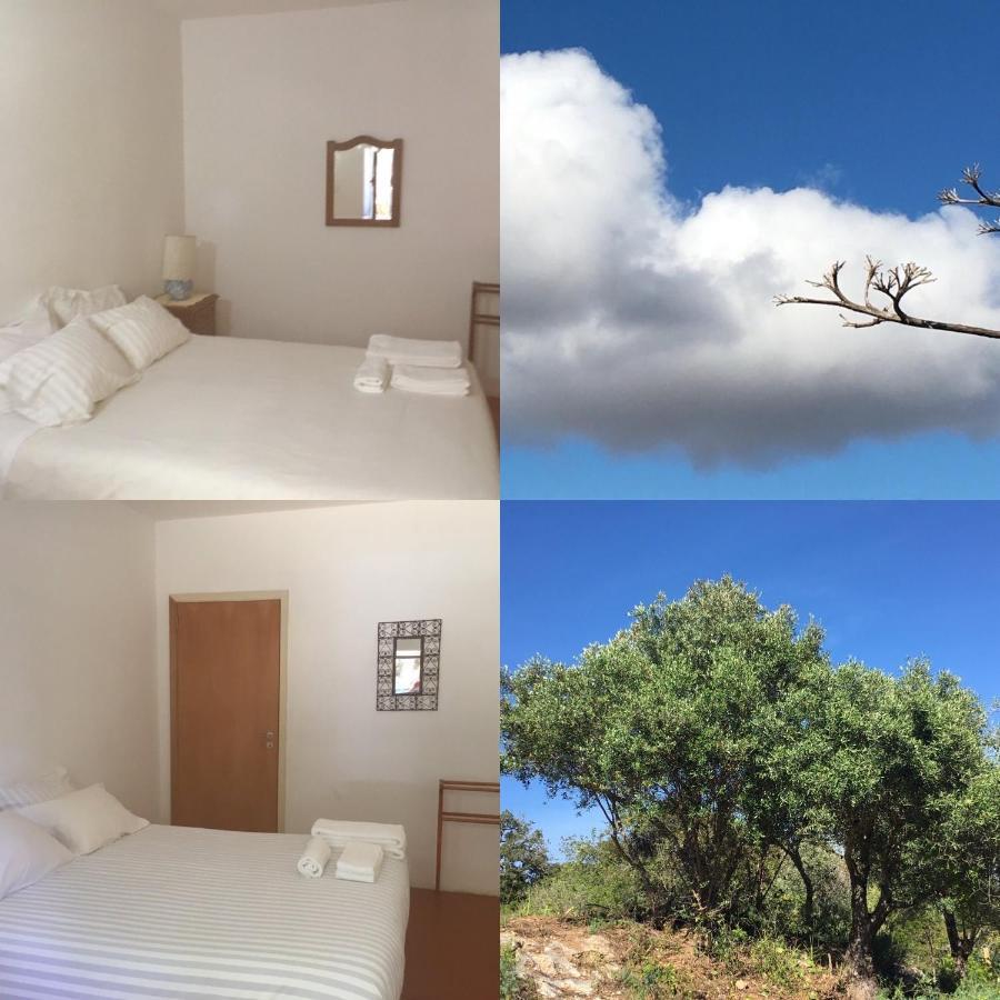 Casa Da Ti Carolina Βίλα Καρβοέιρο Εξωτερικό φωτογραφία
