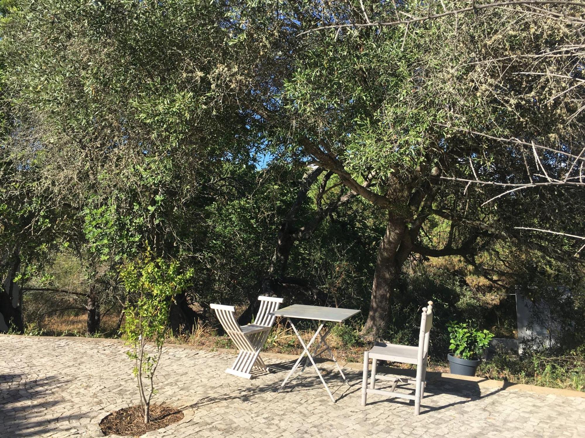 Casa Da Ti Carolina Βίλα Καρβοέιρο Εξωτερικό φωτογραφία